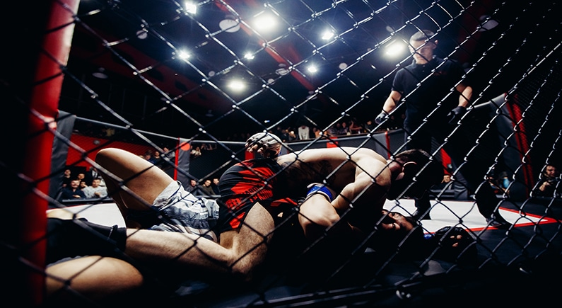 Онтарио запрещает ставки на бои UFC из-за проблем честности
