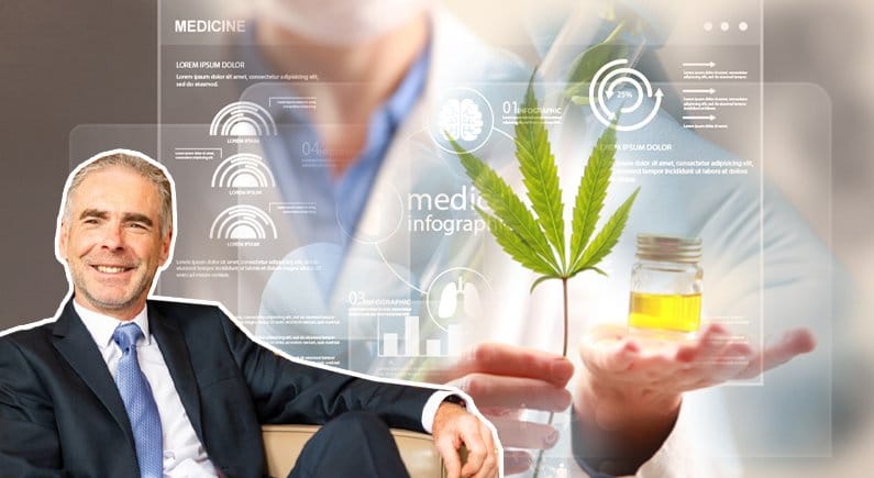 The medical cannabis value chain