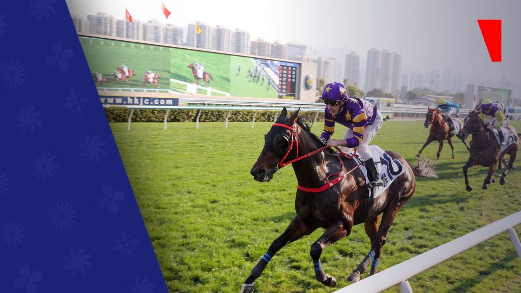随着香港赛马会拓展全球版图，World Pool 成交额大幅跃升