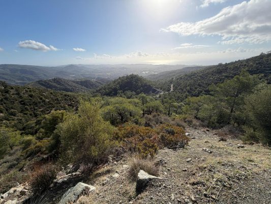 Image gallery
